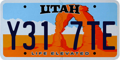 UT license plate Y317TE