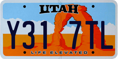 UT license plate Y317TL