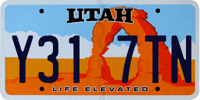 UT license plate Y317TN