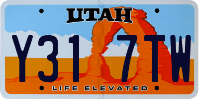 UT license plate Y317TW