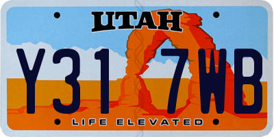 UT license plate Y317WB