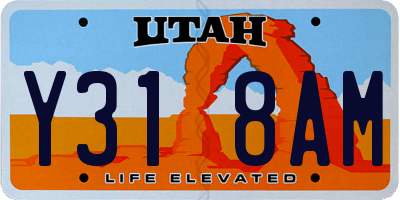 UT license plate Y318AM