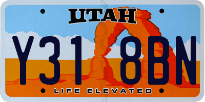 UT license plate Y318BN