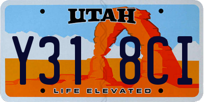 UT license plate Y318CI