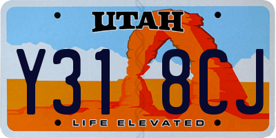 UT license plate Y318CJ