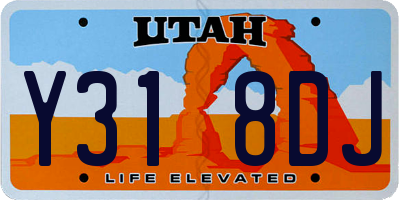 UT license plate Y318DJ