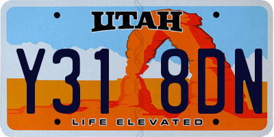 UT license plate Y318DN