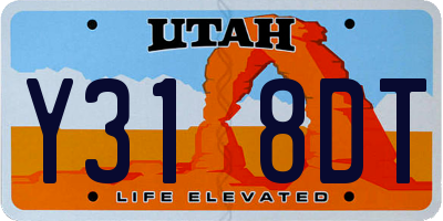 UT license plate Y318DT