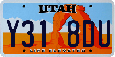 UT license plate Y318DU