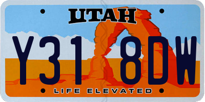 UT license plate Y318DW