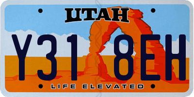UT license plate Y318EH