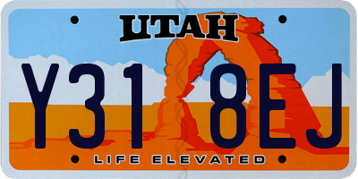 UT license plate Y318EJ