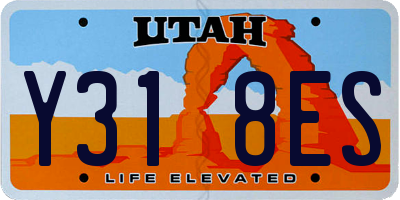 UT license plate Y318ES