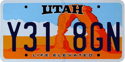 UT license plate Y318GN