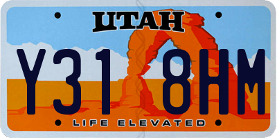UT license plate Y318HM