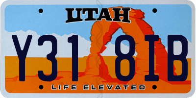 UT license plate Y318IB