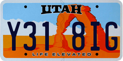 UT license plate Y318IG