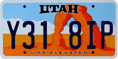 UT license plate Y318IP
