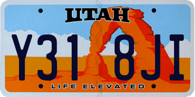 UT license plate Y318JI