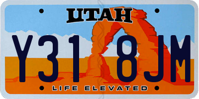 UT license plate Y318JM