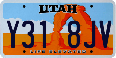 UT license plate Y318JV