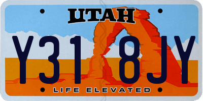 UT license plate Y318JY