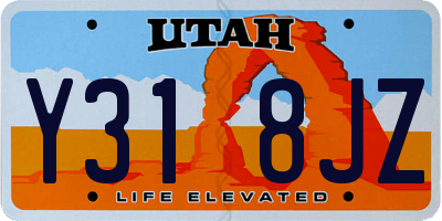 UT license plate Y318JZ