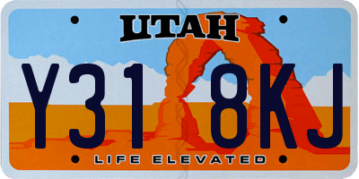 UT license plate Y318KJ