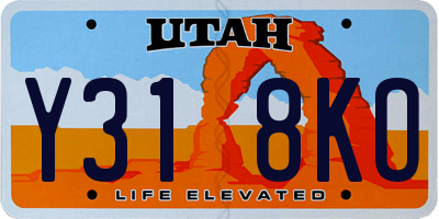 UT license plate Y318KO