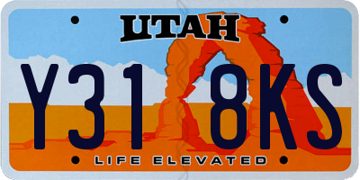UT license plate Y318KS