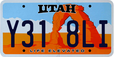 UT license plate Y318LI