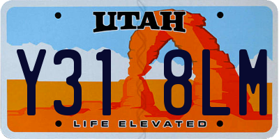 UT license plate Y318LM