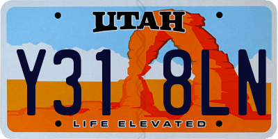 UT license plate Y318LN