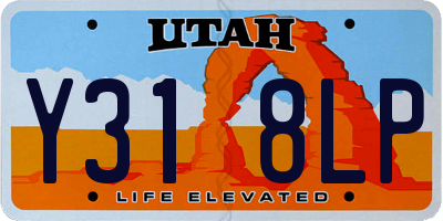 UT license plate Y318LP
