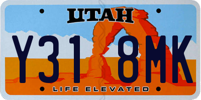 UT license plate Y318MK