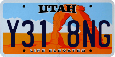 UT license plate Y318NG