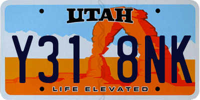 UT license plate Y318NK