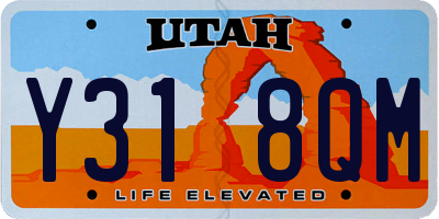 UT license plate Y318QM
