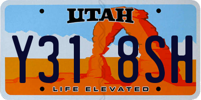 UT license plate Y318SH