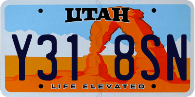 UT license plate Y318SN