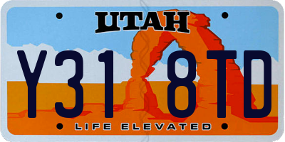 UT license plate Y318TD