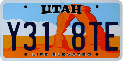 UT license plate Y318TE
