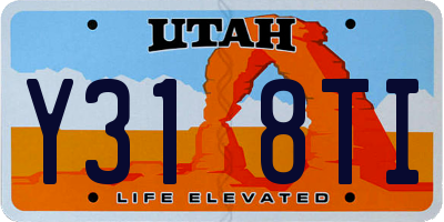UT license plate Y318TI