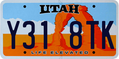 UT license plate Y318TK