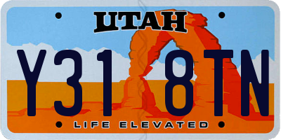 UT license plate Y318TN