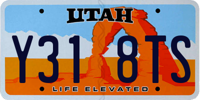 UT license plate Y318TS
