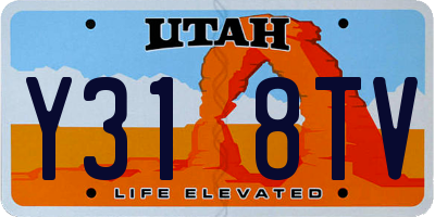 UT license plate Y318TV