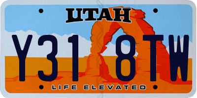 UT license plate Y318TW