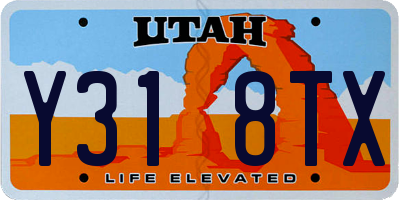 UT license plate Y318TX