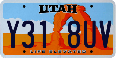 UT license plate Y318UV